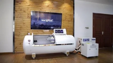 Macy-Pan HP600 Pet Hyperbaric Oxygen Chamber Medical Equipment Portable
