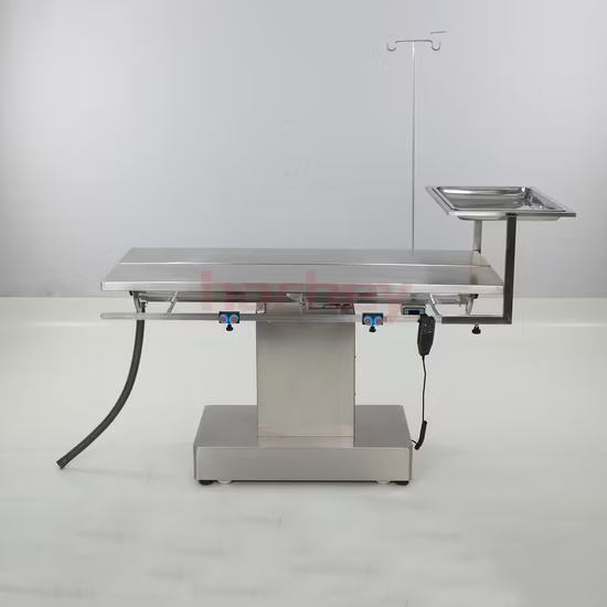 Pet chirurgico veterinario in acciaio inossidabile B